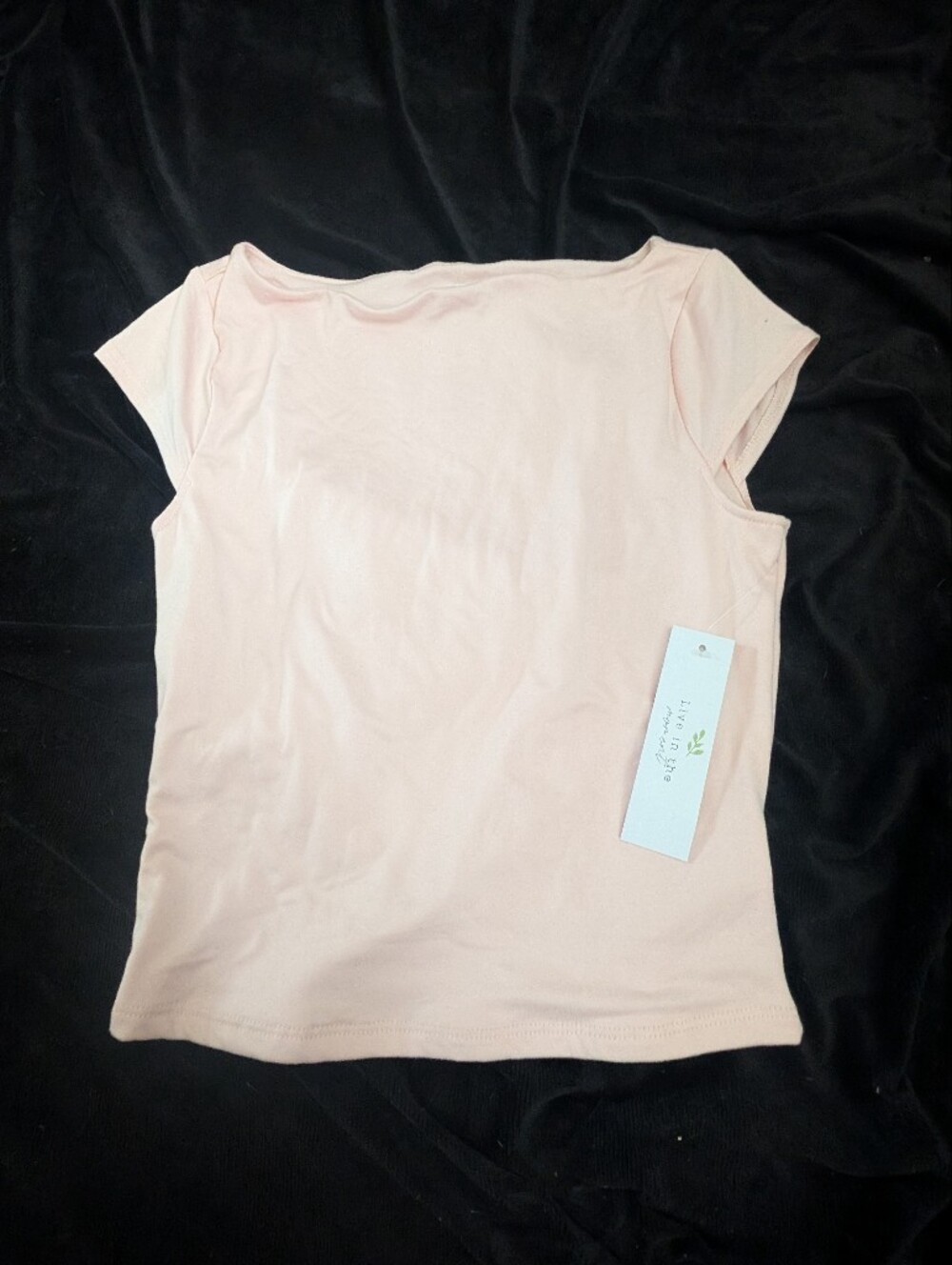 Women's Short Sleeve Tee in Light Pink
